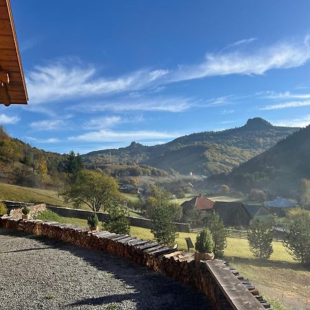 Ralph Cabin- Apuseni Mountains, Transylvania Bucium  Eksteriør billede