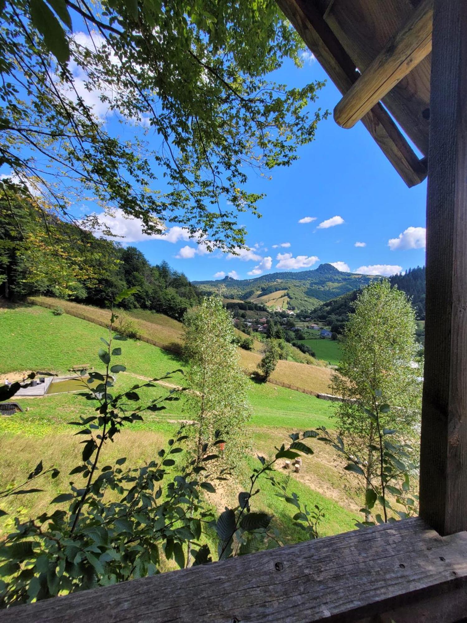 Ralph Cabin- Apuseni Mountains, Transylvania Bucium  Eksteriør billede