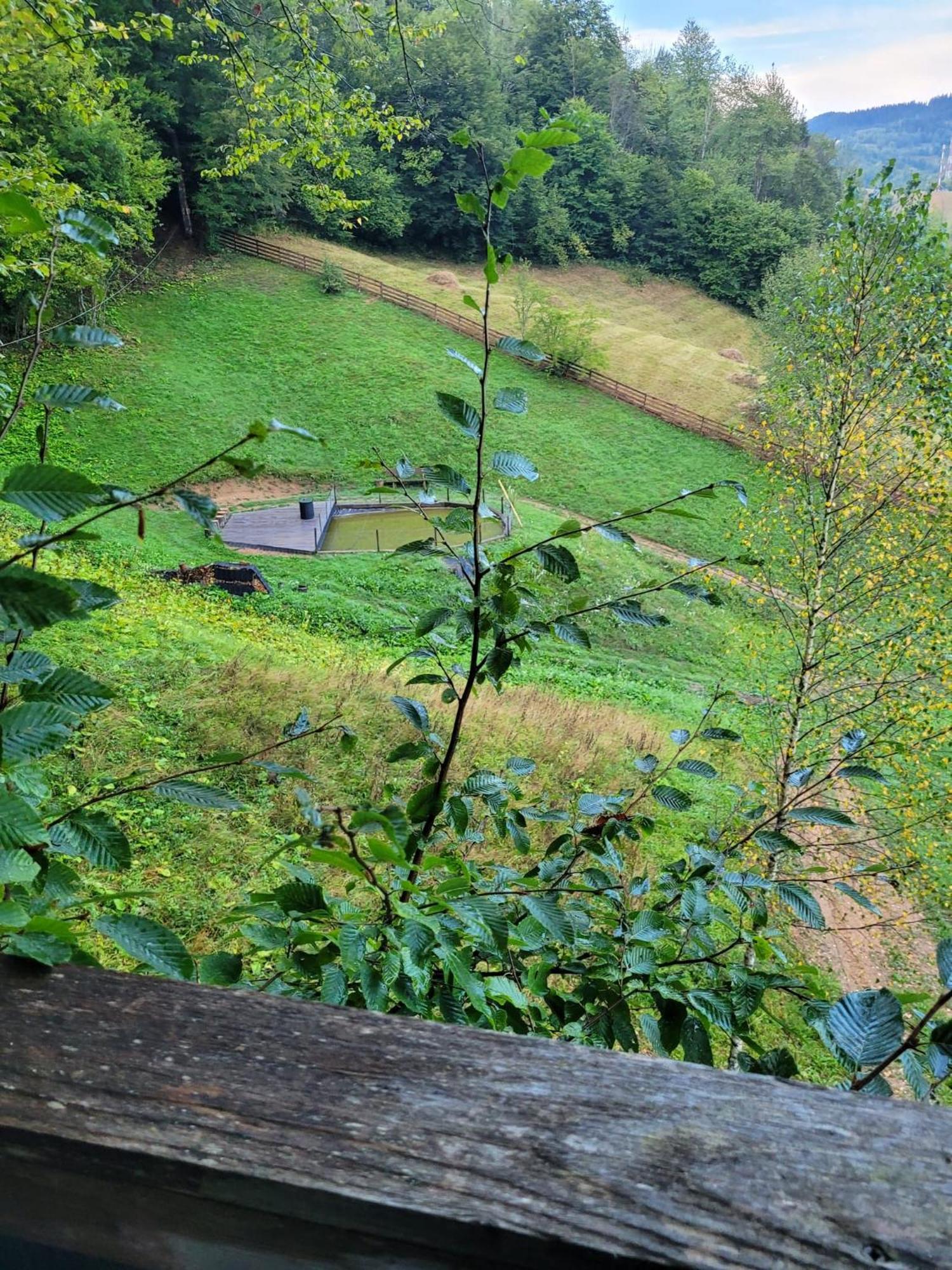 Ralph Cabin- Apuseni Mountains, Transylvania Bucium  Eksteriør billede