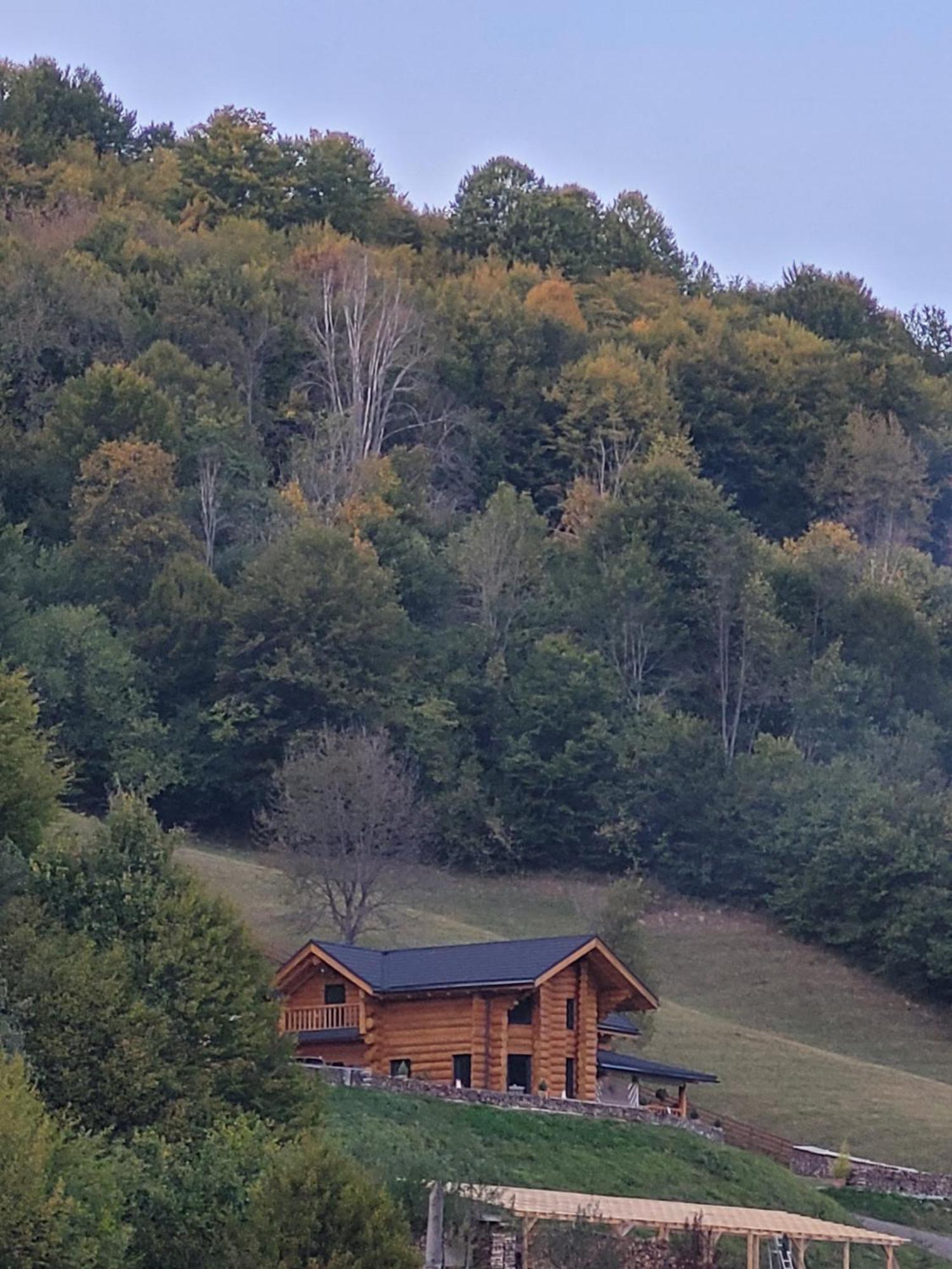Ralph Cabin- Apuseni Mountains, Transylvania Bucium  Eksteriør billede