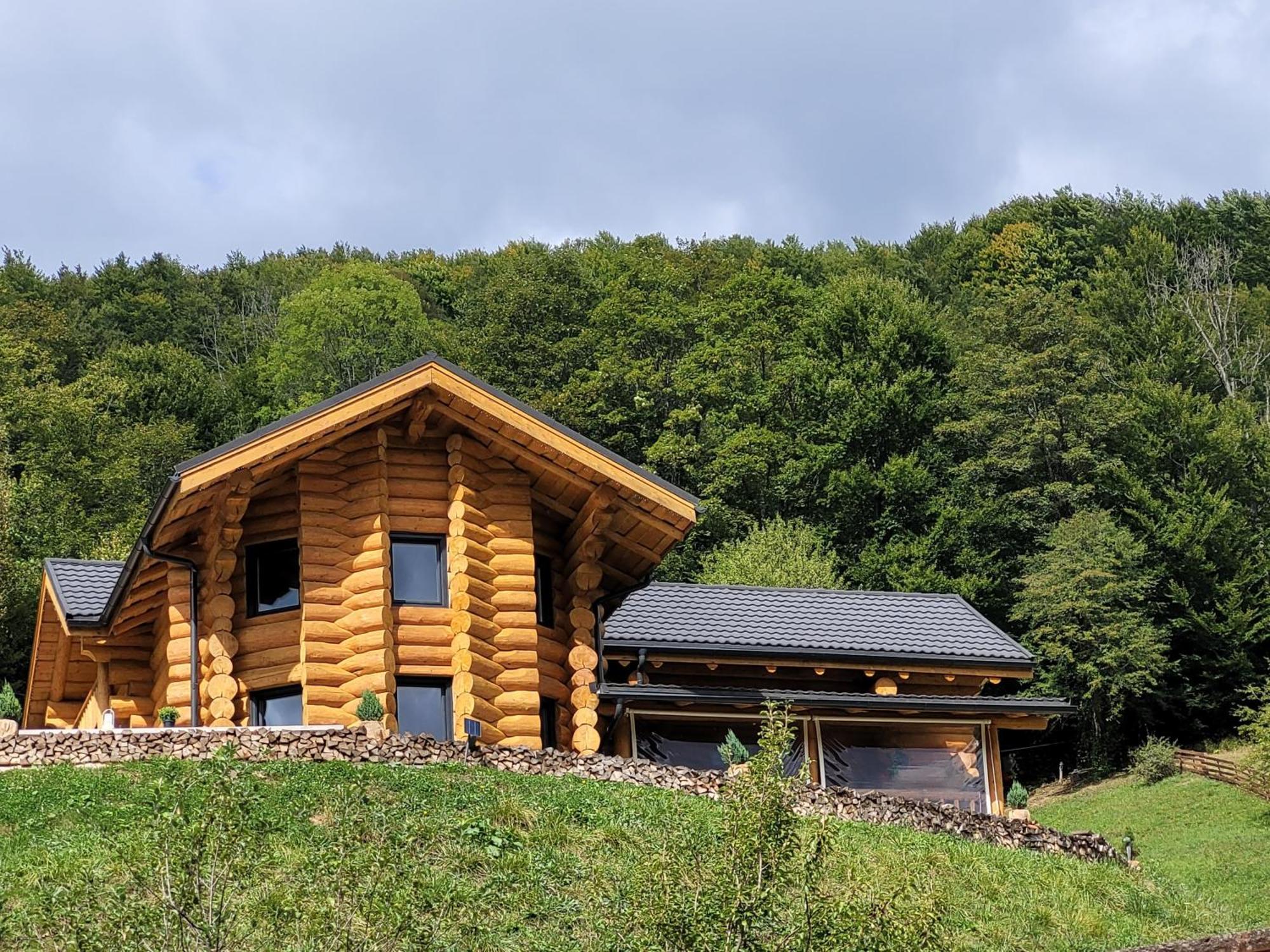 Ralph Cabin- Apuseni Mountains, Transylvania Bucium  Eksteriør billede