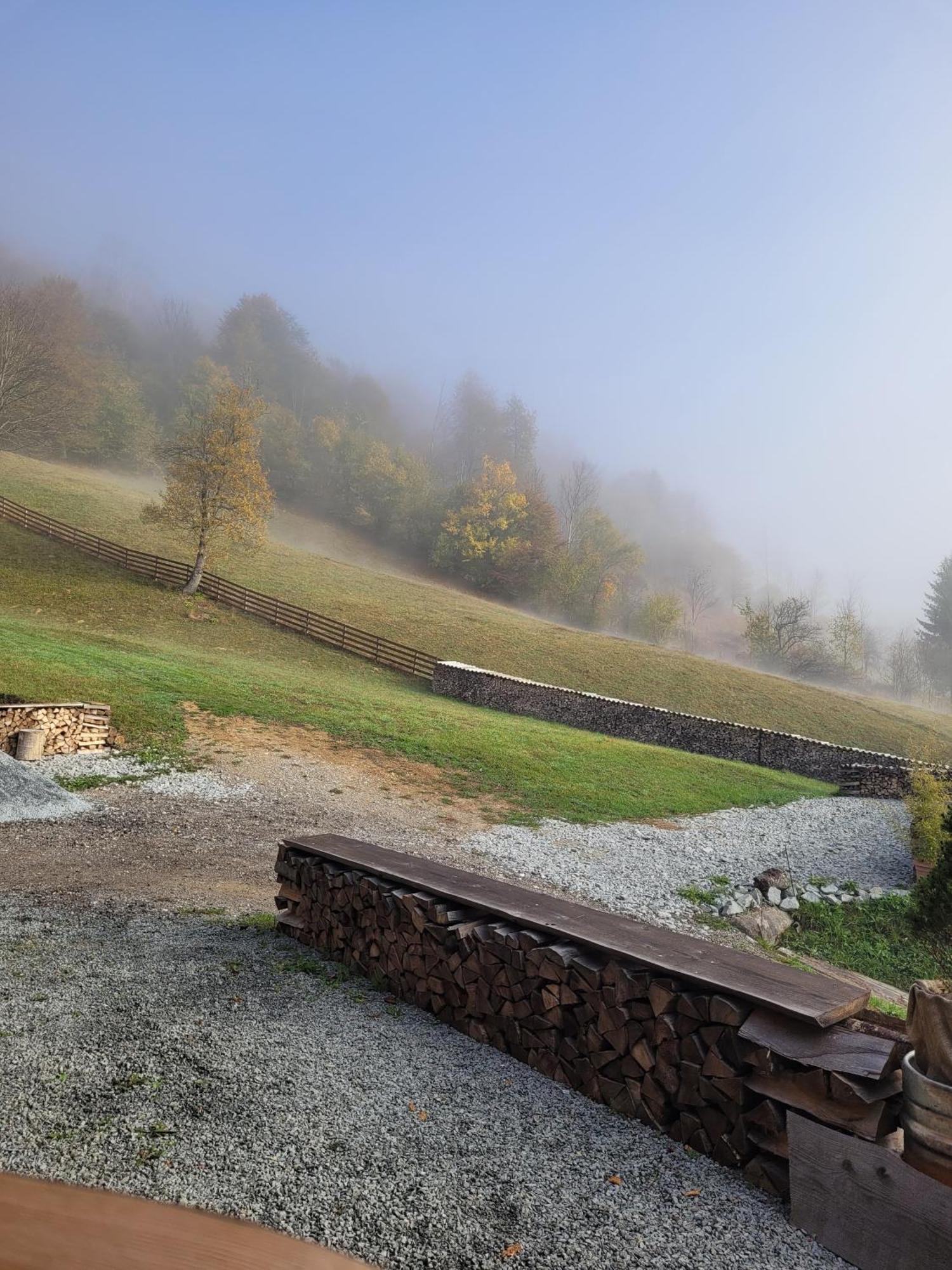 Ralph Cabin- Apuseni Mountains, Transylvania Bucium  Eksteriør billede