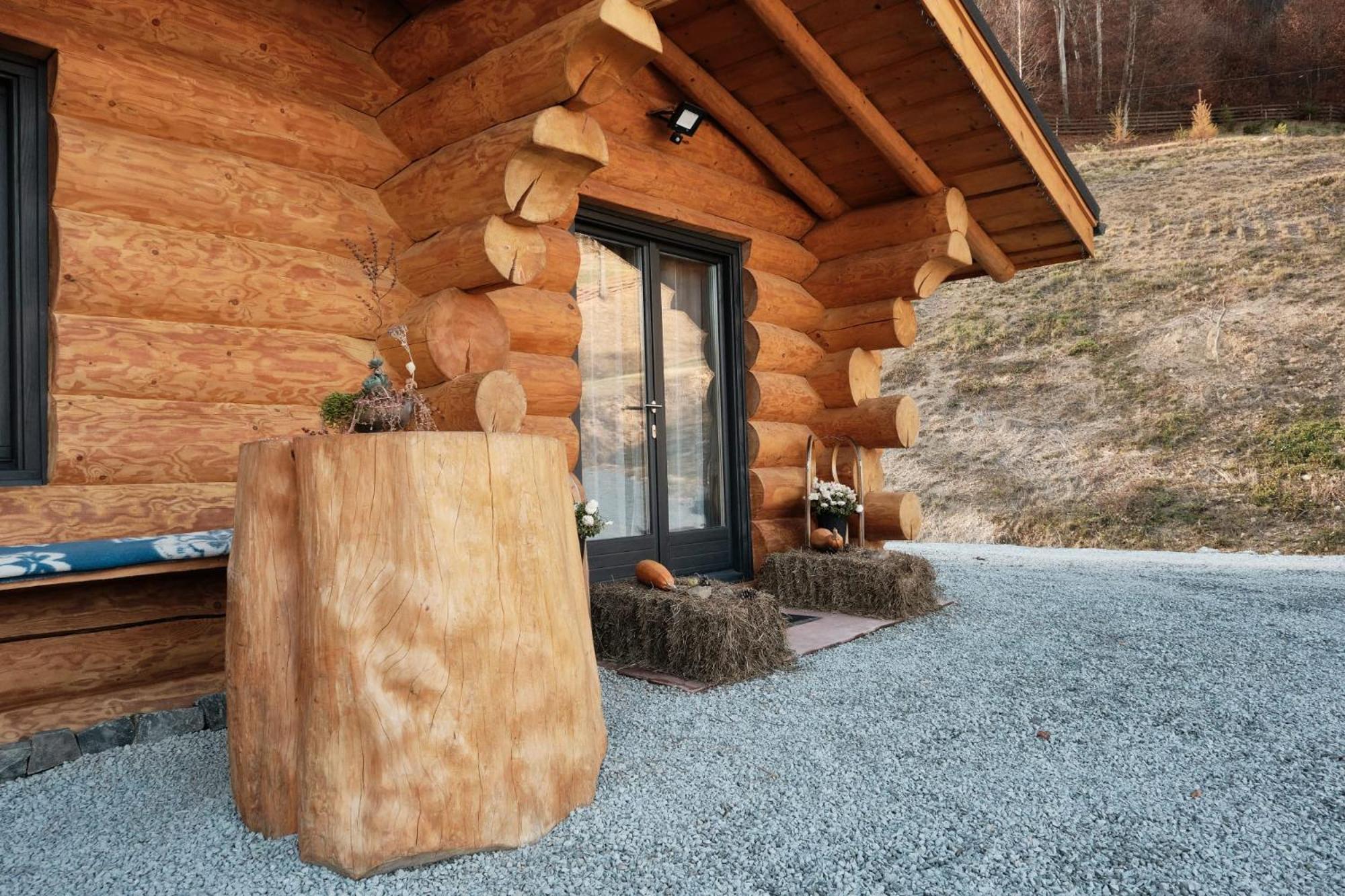 Ralph Cabin- Apuseni Mountains, Transylvania Bucium  Eksteriør billede