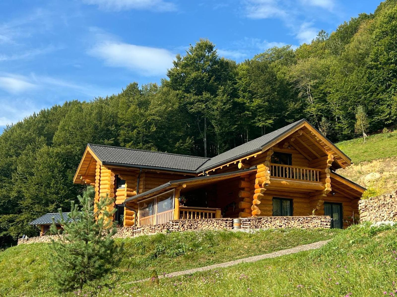 Ralph Cabin- Apuseni Mountains, Transylvania Bucium  Eksteriør billede
